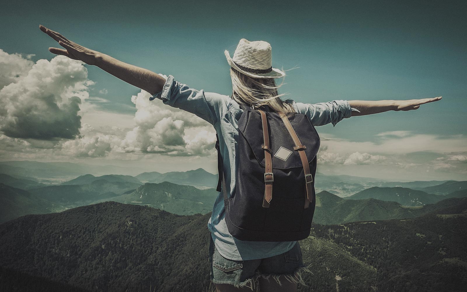 Why Professional Guidance Is Valuable In Insurance Choices